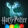 Harry Potter: Puzzles & Spells icône