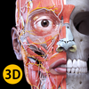 Anatomie - Atlas 3D icône