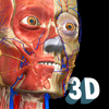 Anatomy Learning - Atlas d'anatomie 3D icône